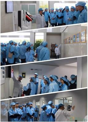 聚(ju)享(xiang)綠(lv)色能(neng)源，共築智能(neng)未來(lai)——SMA揚(yang)中(zhong)工(gong)廠(chang)開放日(ri)活動(dong)圓滿(man)落(luo)幕(mu)